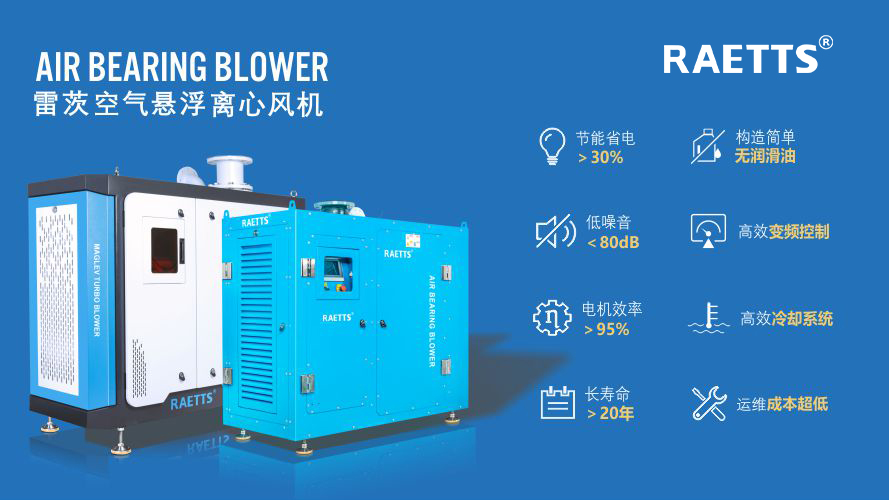 1733452173295504.jpg 11.jpg